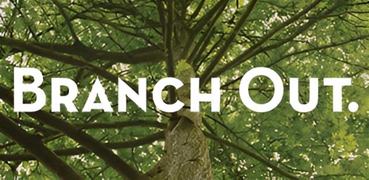 Branch Out Newsletter Series City of Hudson Oaks